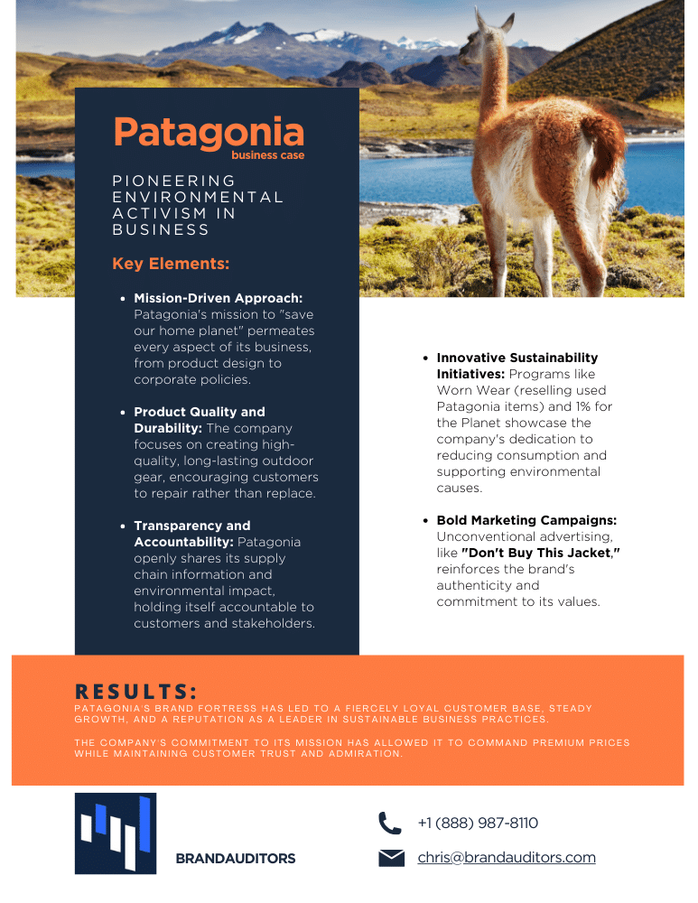 Elevate Your Brand with Patagonia’s Marketing Strategy 1 Patagonia TM Business Case One Pager Flyer