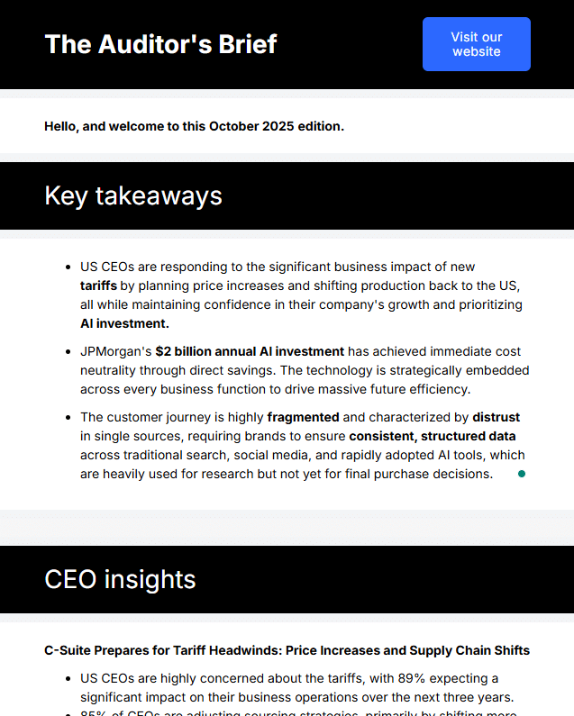 The Auditors Brief-Business Newsletter